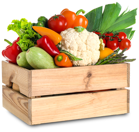 vegetable